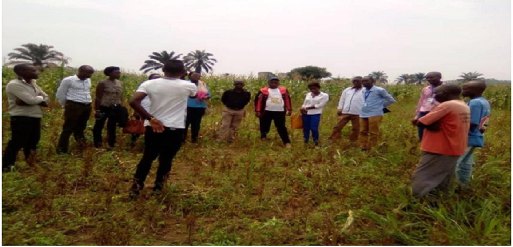 Visite gihanga